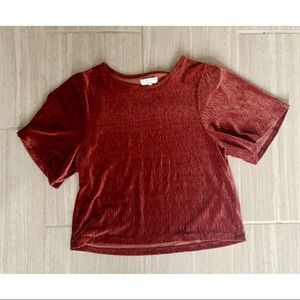 Madewell Crinkle Velvet Flutter Sleeve Top